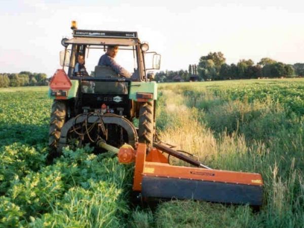 Proceed to the Next Steps